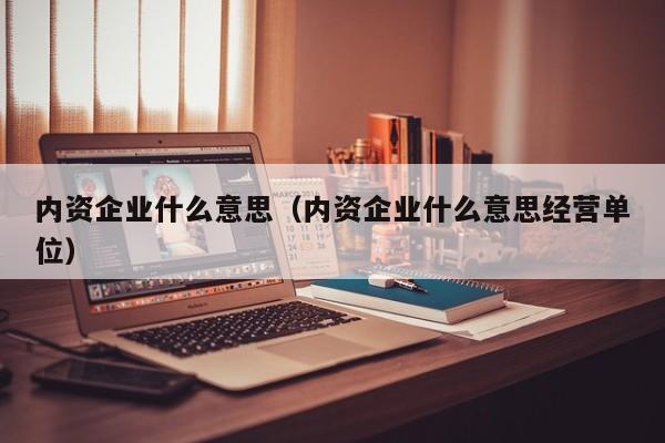 内资企业什么意思（内资企业什么意yi思经营单位）-悠嘻资讯网