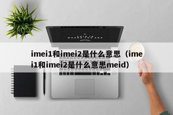 imei1和imei2是什么意思（imei1和imei2是什么意思meid）-第1张图片-昕阳网