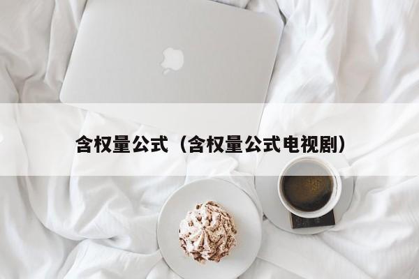 含权量公式（含权量公式电(dian)视剧）