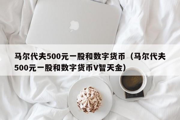 马尔代夫500元一股和数字货币（马尔代夫500元一股和数字货币V智天金）-第1张图片-昕阳网