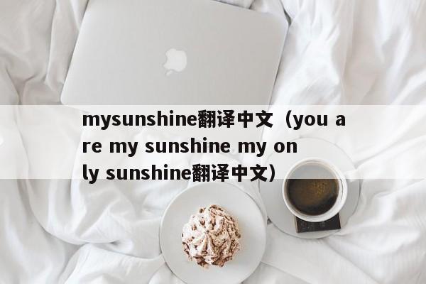 mysunshine翻译中文（you are my sunshine my only sunshine翻译中文）-第1张图片-昕阳网