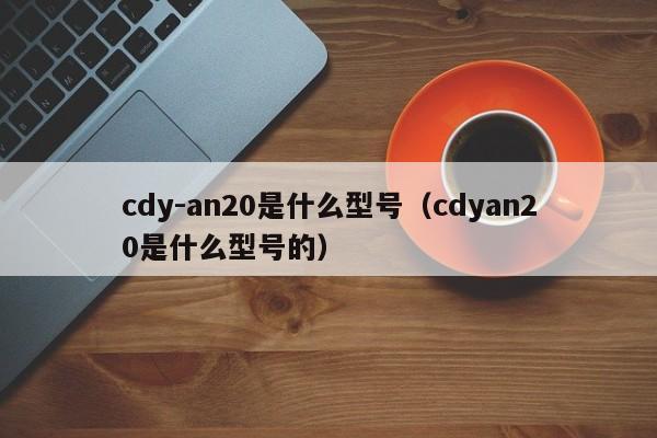 cdy-an20是什么型号（cdyan20是什么型号的）-第1张图片-昕阳网