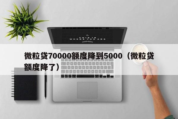 微粒贷70000额度降到5000（微粒贷额度降了）-第1张图片-昕阳网