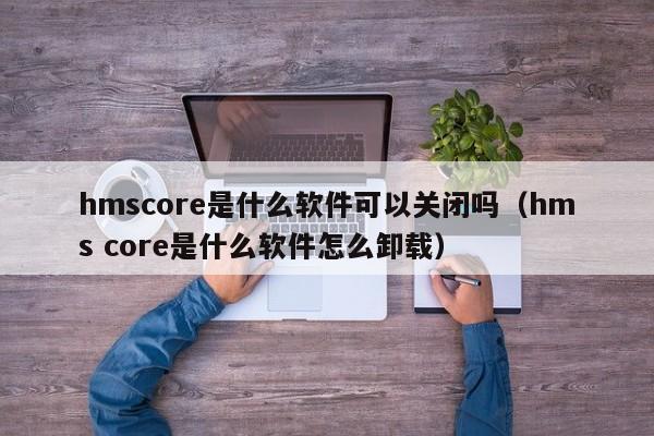 hmscore是什么软件可以关闭吗（hms core是什么软件怎么卸载）-第1张图片-昕阳网