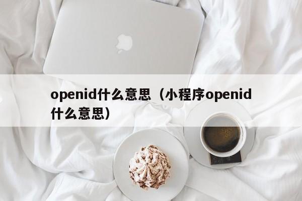 openid什么意思（小程序openid什么意思）-第1张图片-昕阳网