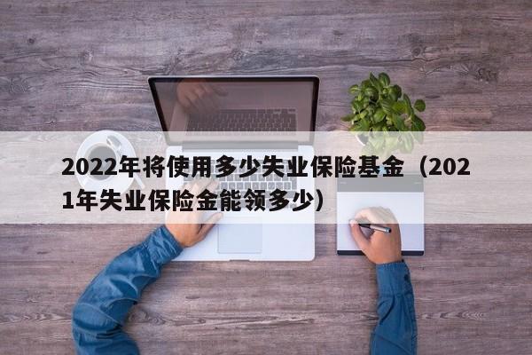 2022年将使用多少失业保险基金（2021年失业保险金能领多少）-第1张图片-昕阳网