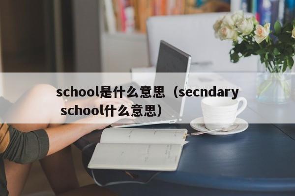 school是什么意思（secndary school什么意思）-第1张图片-昕阳网