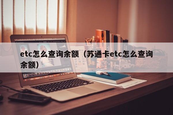 etc怎么查询余额（苏通卡etc怎么查询余额）-第1张图片-昕阳网