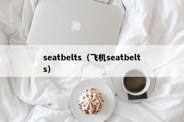 seatbeltsɻseatbelts-ɴӪ