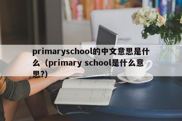 primaryschool的中文意思是什么