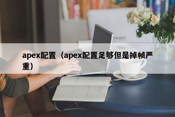 apex配置（apex配置足够但是掉帧严重）-第1张图片-昕阳网