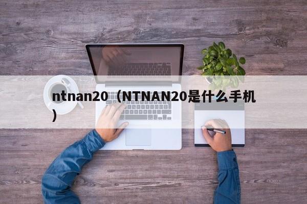 ntnan20（NTNAN20是什么手机）-第1张图片-昕阳网