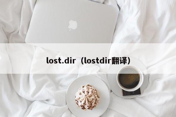 lost.dir（lostdir翻译）-第1张图片-昕阳网