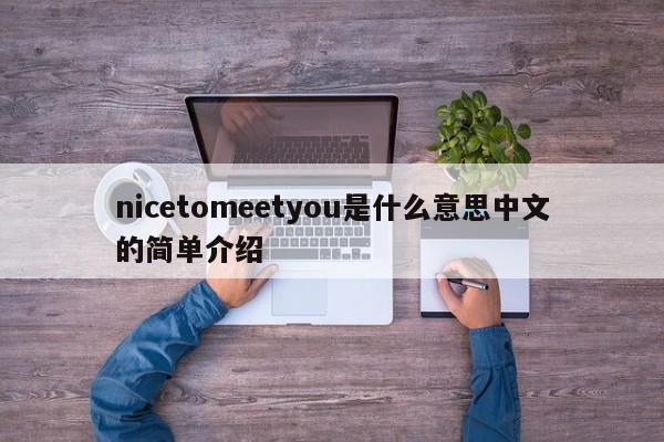 nicetomeetyou是什么意思中文的简单介绍-第1张图片-昕阳网