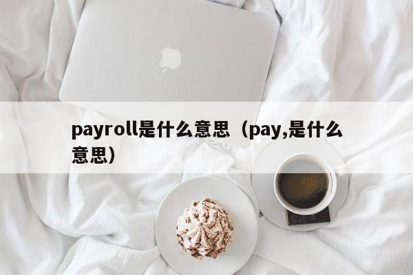 payroll是什么意思（pay,是什么意思）-第1张图片-昕阳网